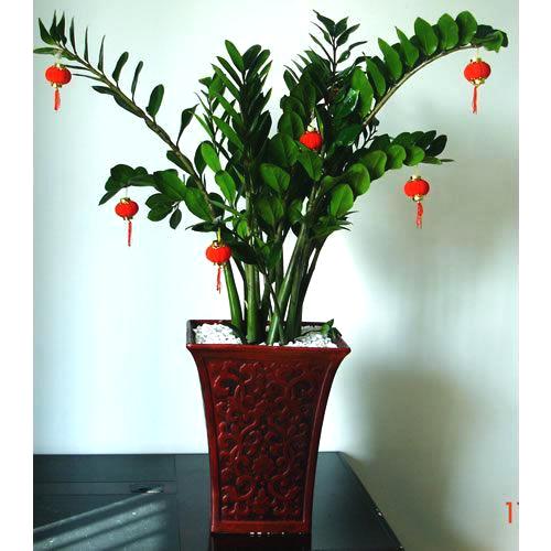 搬新家后宝宝咳嗽,搬新家后孩子老是咳嗽感冒发烧