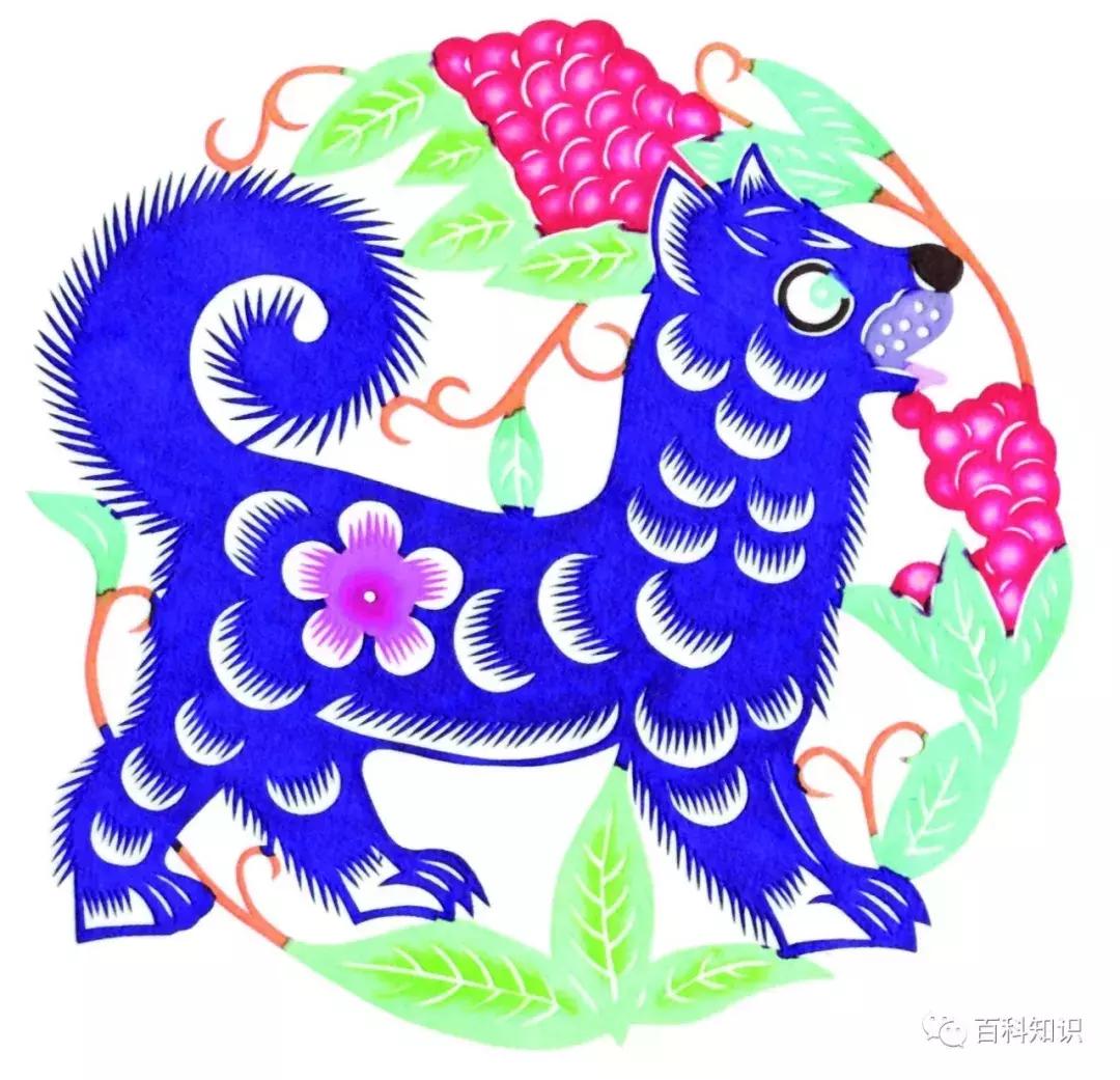 天气转暖,犬来大地报春意