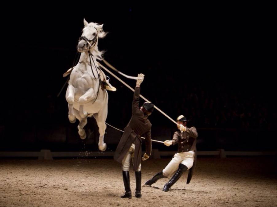 德奥丨一人出行又冷清又贵？快来优程拼团吧！来一次浪漫艺术之旅