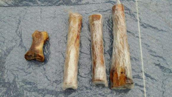 农村养驴怎么样才能赚钱呢,内蒙21年养驴的前景如何