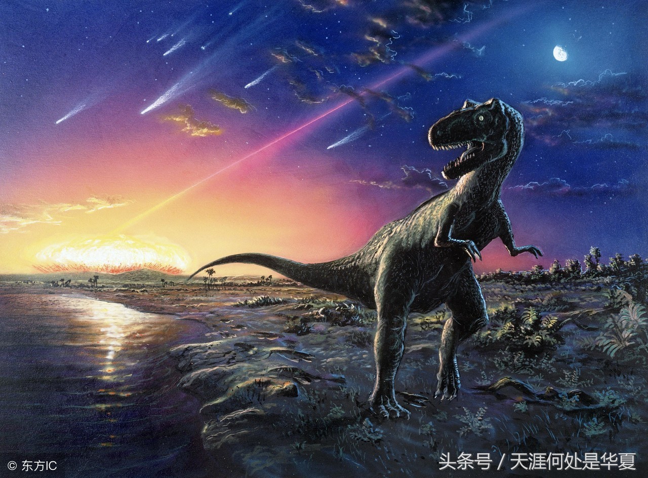 达尔文的进化论适者生存物竞天择,达尔文进化论物竞天择的内容