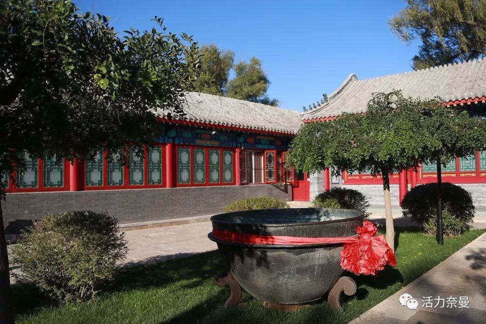 45万人的名片，太漂亮了！！《奈曼人的名片》最新版，45万次！！！精工打造！！！