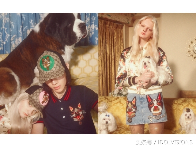 萌狗当家Gucci时髦迎新年