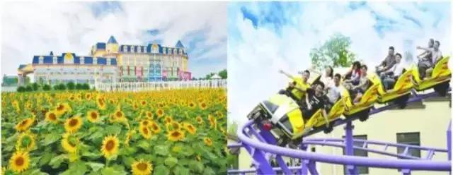 番禺农家乐一日游最佳地点,广州番禺亲子游农庄