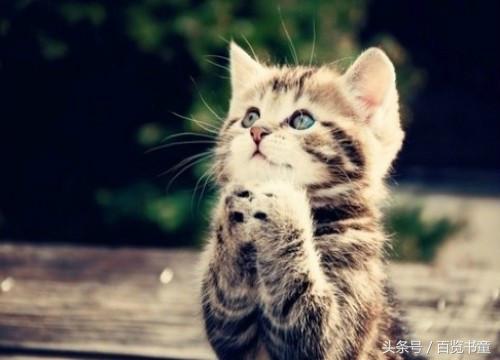 转魂传说,转星传说