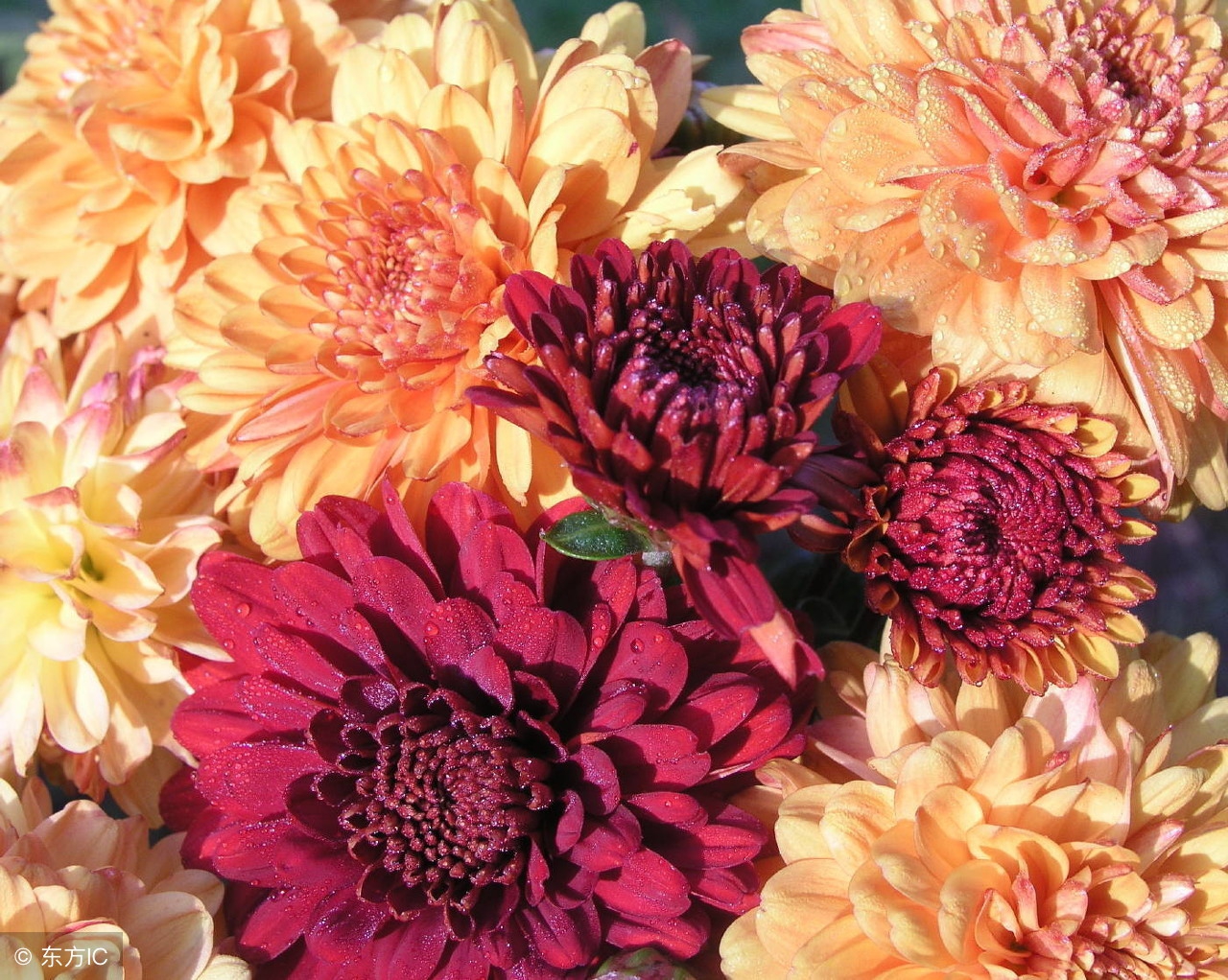 摆脱烦躁心情的方法,摆脱心理焦虑的最好方法