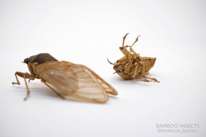 竹子手工制作昆虫模型,轻粘土自制永生花模型