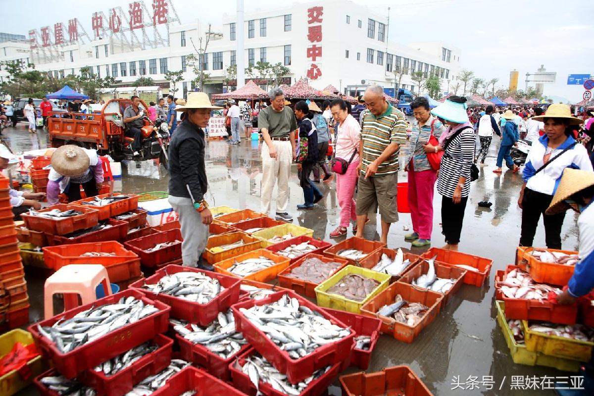 三亚崖城前景,三亚崖城哪个小镇最好