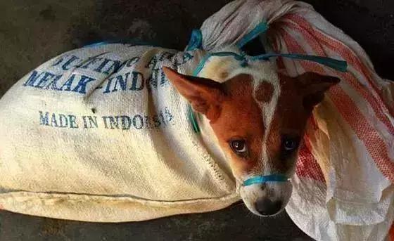 这个国家垃圾堆里竟能捡到LV包、劳力士和大量现金!而且不是迪拜