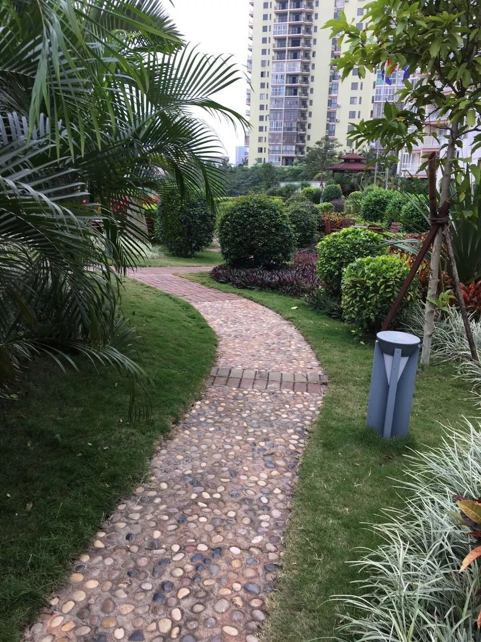 长寿乡,城中央,养老还看丽海阳光