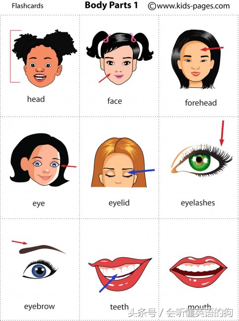 关于孩子学习英语的十大好习惯,有什么好方法教孩子英语