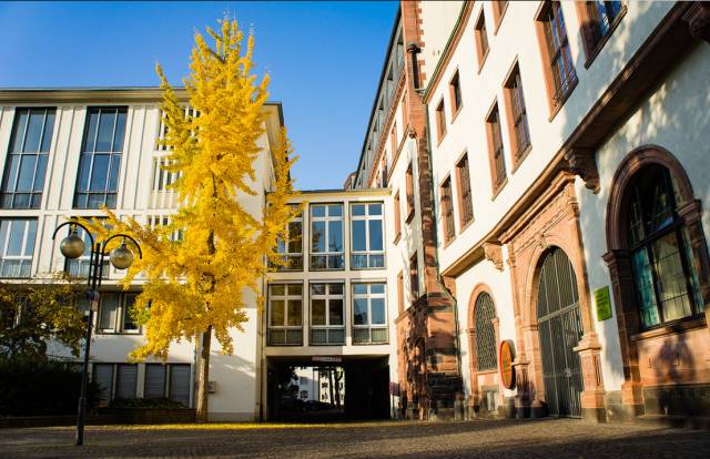 德奥丨一人出行又冷清又贵？快来优程拼团吧！来一次浪漫艺术之旅