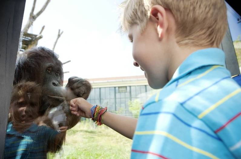 德奥丨一人出行又冷清又贵？快来优程拼团吧！来一次浪漫艺术之旅