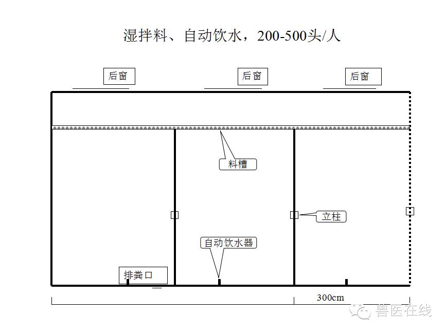 猪场刮粪机排粪沟设计图,100头母猪猪场设计图