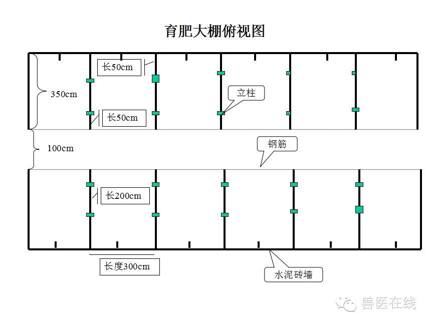 猪场刮粪机排粪沟设计图,100头母猪猪场设计图