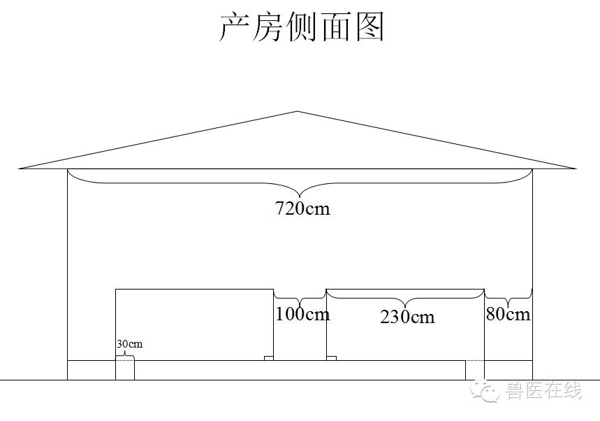 猪场刮粪机排粪沟设计图,100头母猪猪场设计图