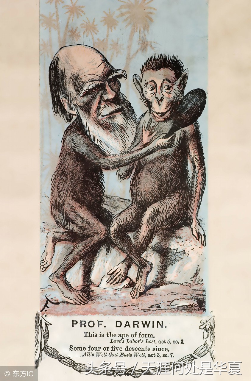 达尔文的进化论适者生存物竞天择,达尔文进化论物竞天择的内容