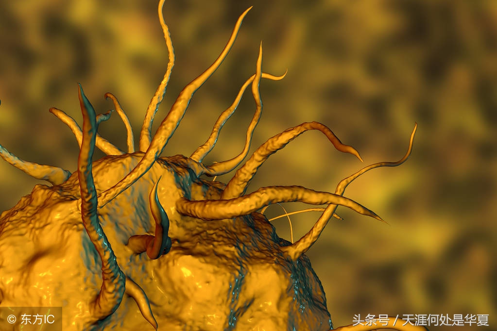 达尔文的进化论适者生存物竞天择,达尔文进化论物竞天择的内容