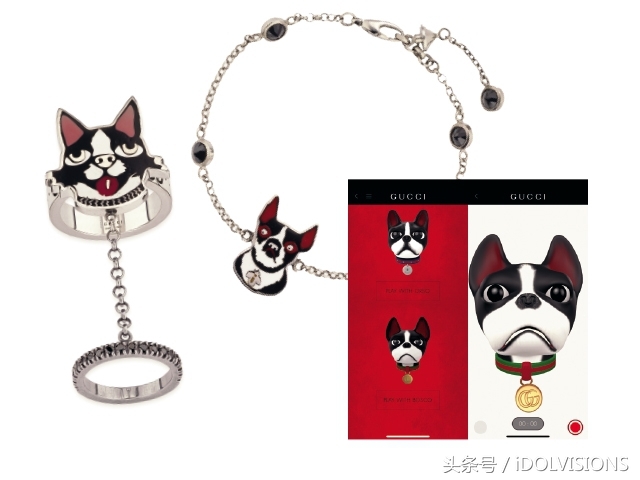 萌狗当家Gucci时髦迎新年