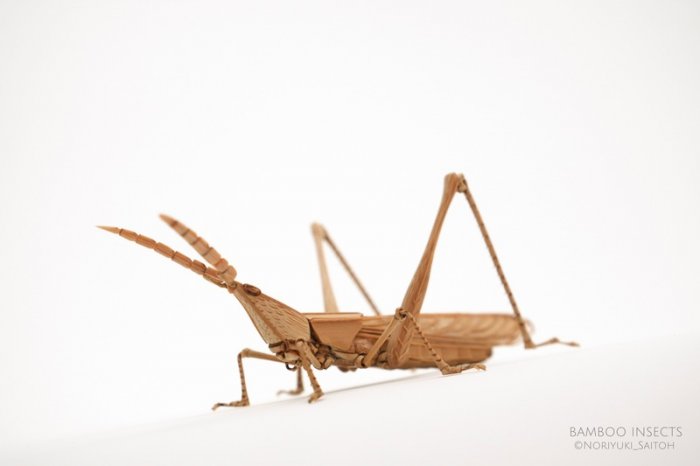 竹子手工制作昆虫模型,轻粘土自制永生花模型