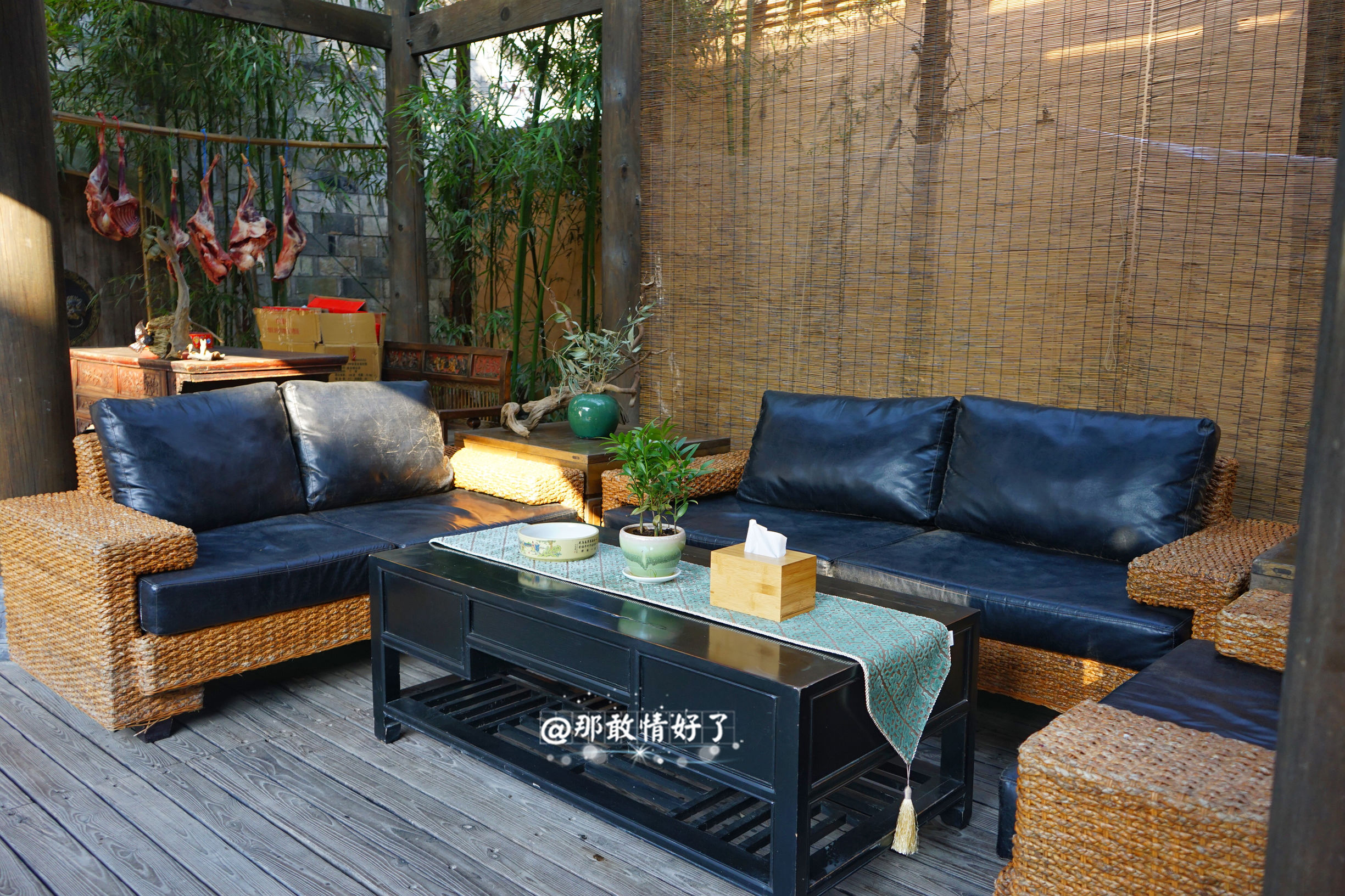 一家三口去南极旅行 (中国一家三口去南极旅游)