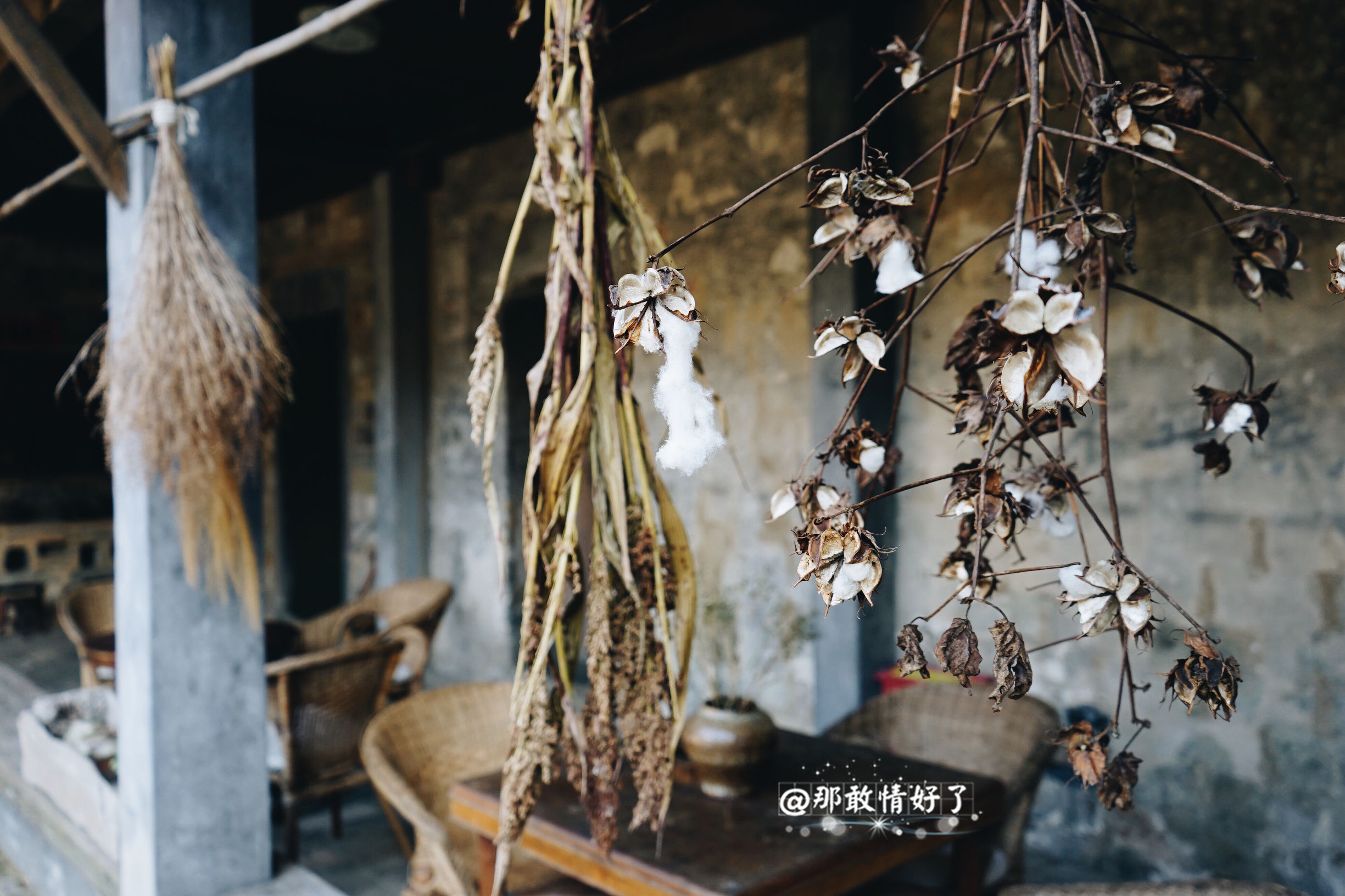 一家三口去南极旅行 (中国一家三口去南极旅游)