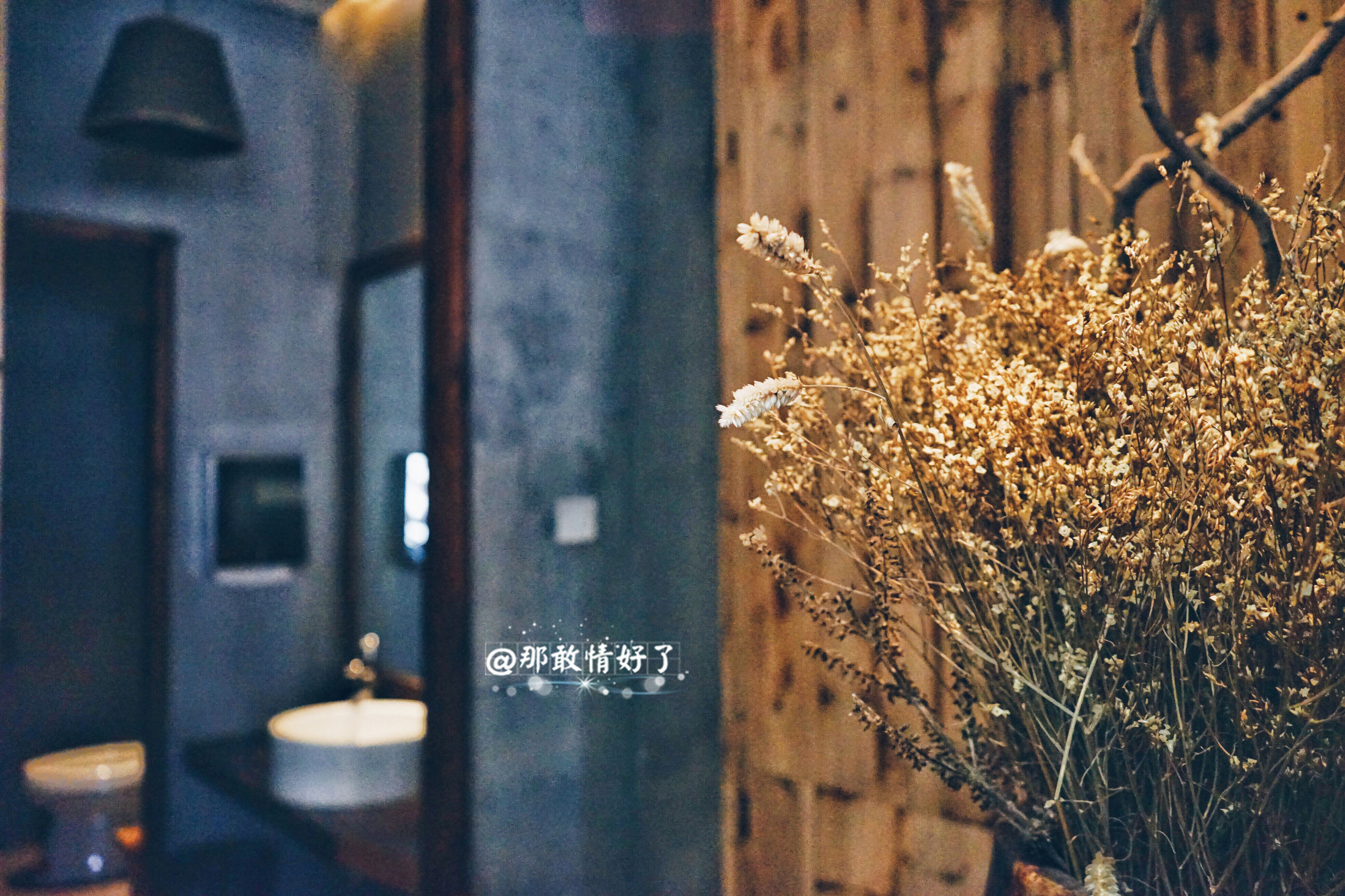 一家三口去南极旅行 (中国一家三口去南极旅游)