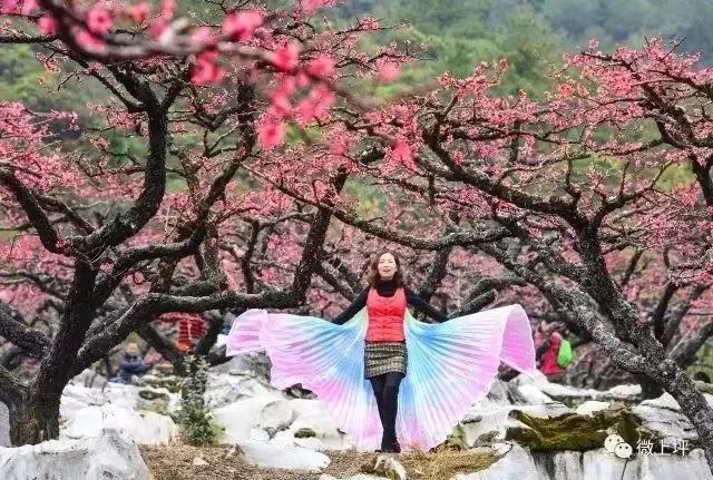 滚蛋吧，春困君！广东这些花花世界让你秒变龙马精神！