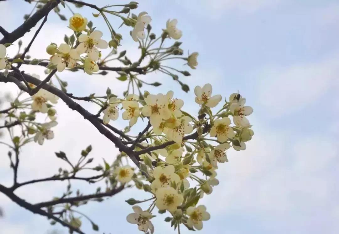 滚蛋吧，春困君！广东这些花花世界让你秒变龙马精神！
