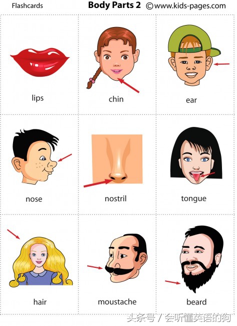 关于孩子学习英语的十大好习惯,有什么好方法教孩子英语