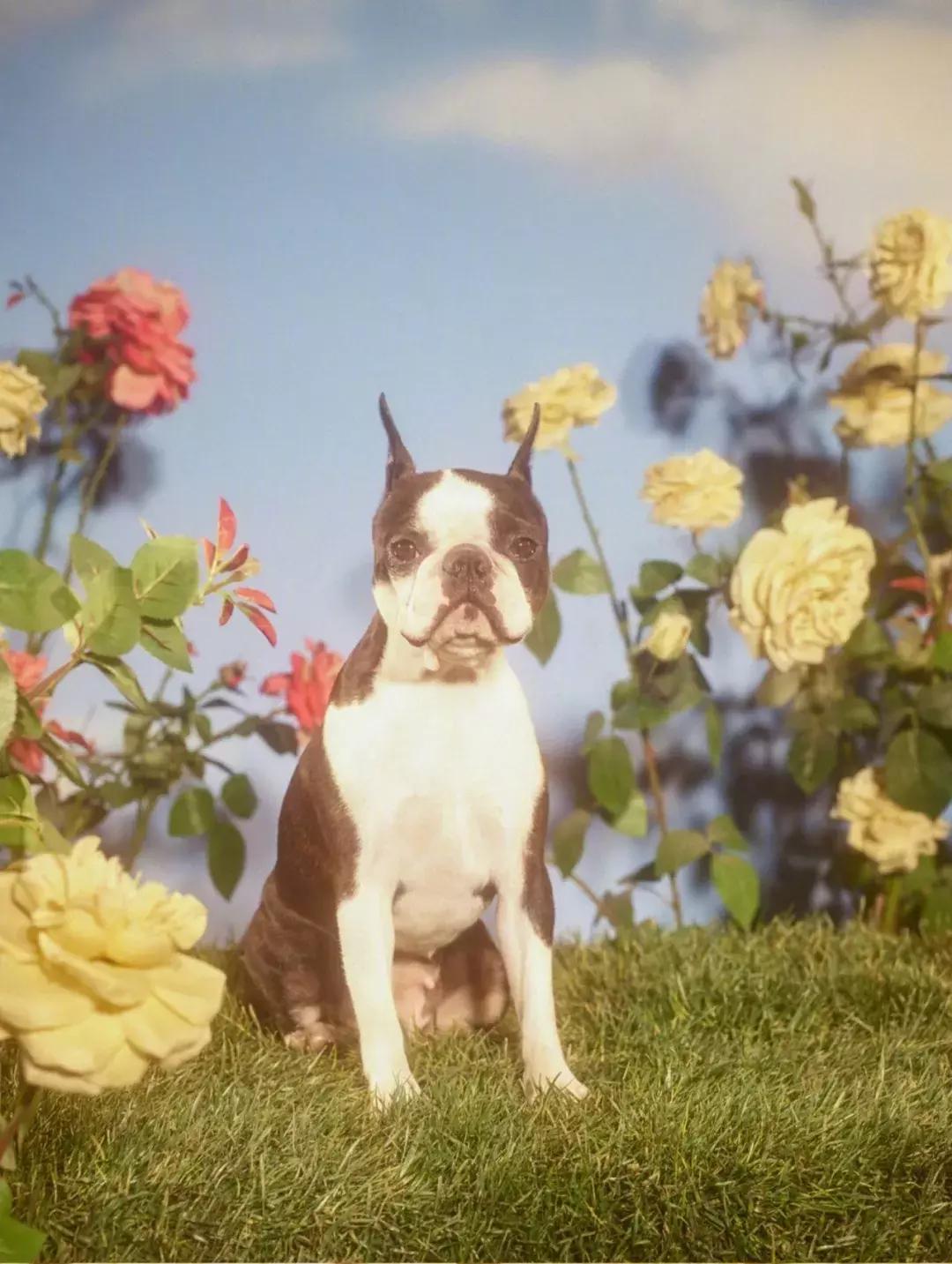 gucci最值得买的几款,gucci必买十大单品