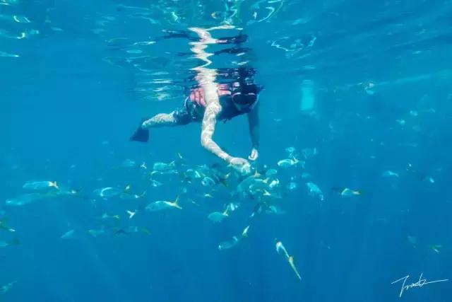 帕劳去玩的人多吗,帕劳到巴厘岛