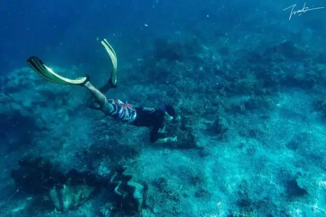 帕劳去玩的人多吗,帕劳到巴厘岛