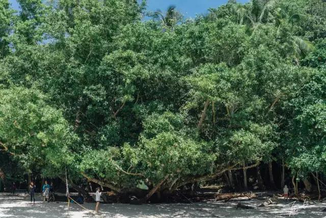 帕劳去玩的人多吗,帕劳到巴厘岛