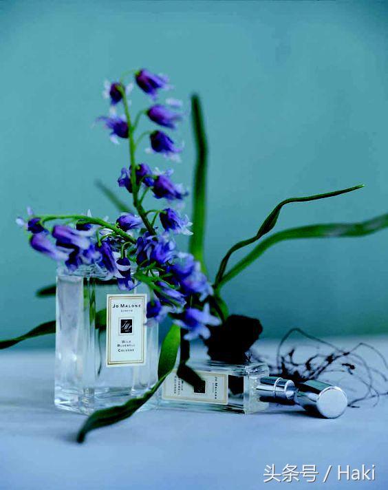 全球公认最好用的10大香水品牌,十大必买经典香水品牌