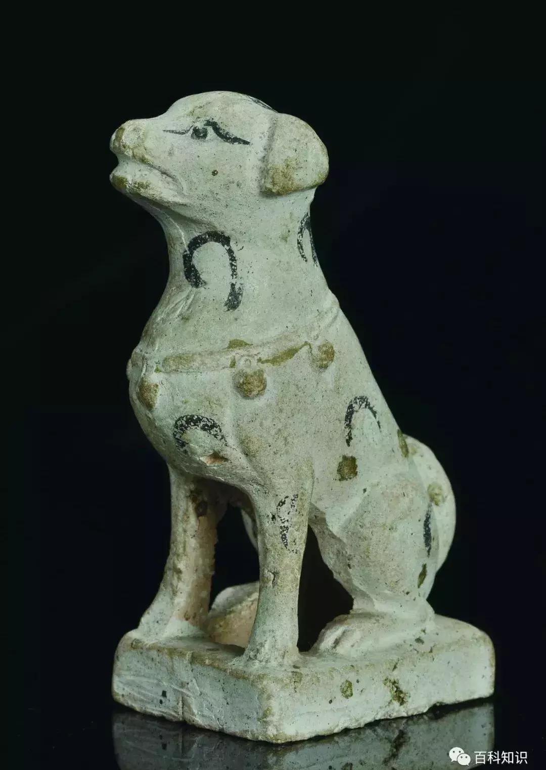 天气转暖,犬来大地报春意