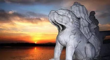 她借酒消愁：怎一个愁字了得；却醉词发问：知否？应是绿肥红瘦