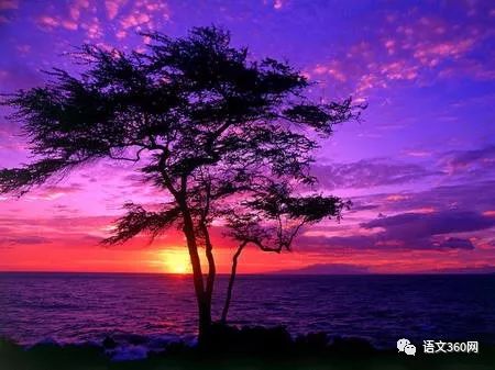 她借酒消愁：怎一个愁字了得；却醉词发问：知否？应是绿肥红瘦