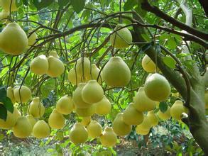 广西南宁首府来历,广西南宁的简称叫邕