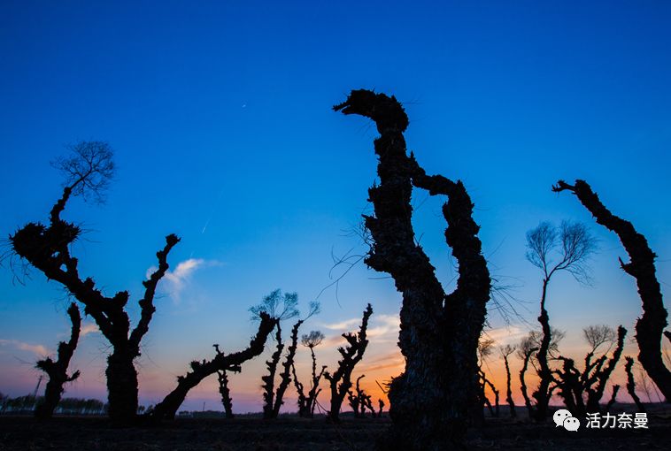 45万人的名片，太漂亮了！！《奈曼人的名片》最新版，45万次！！！精工打造！！！