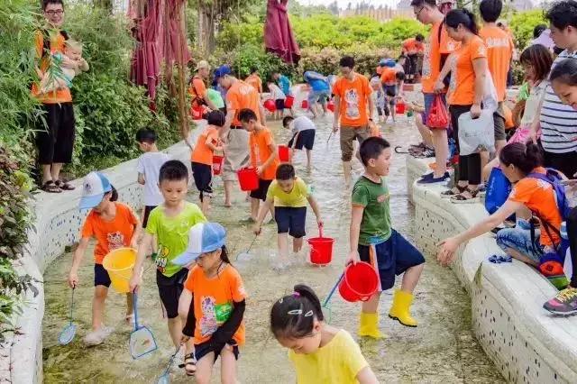 番禺农家乐一日游最佳地点,广州番禺亲子游农庄