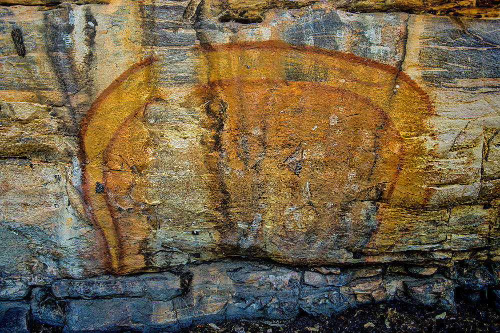 水蛇有灵性吗,水蛇的秘密大揭秘