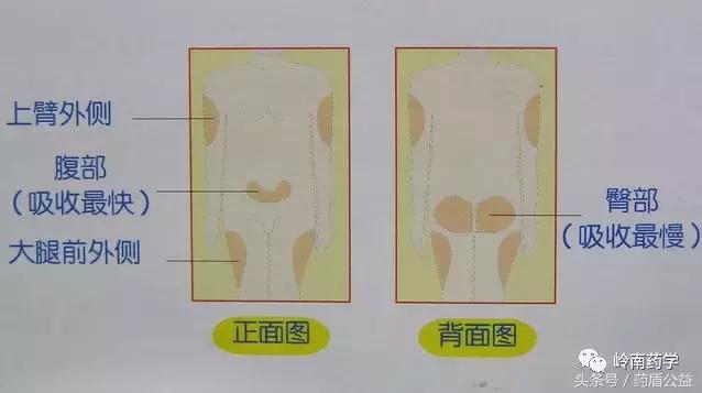 胰岛素注射秘诀全学会,胰岛素笔注射的操作步骤图片