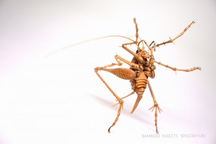 竹子手工制作昆虫模型,轻粘土自制永生花模型