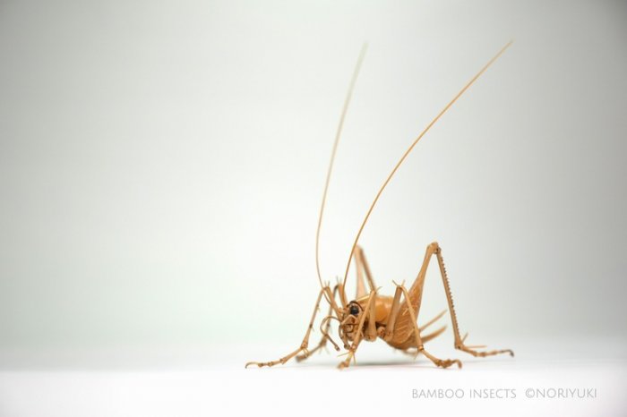 竹子手工制作昆虫模型,轻粘土自制永生花模型