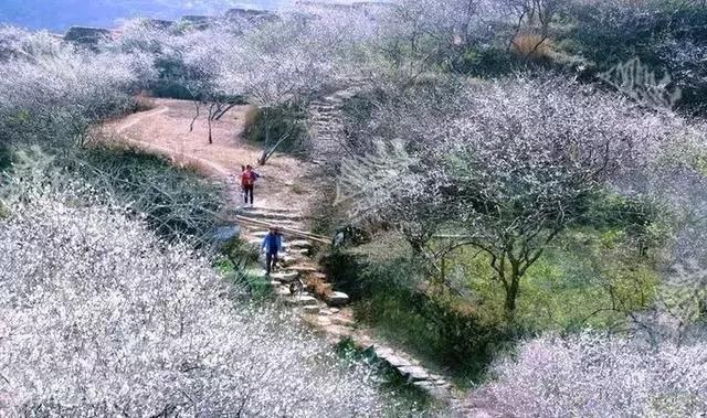 滚蛋吧，春困君！广东这些花花世界让你秒变龙马精神！