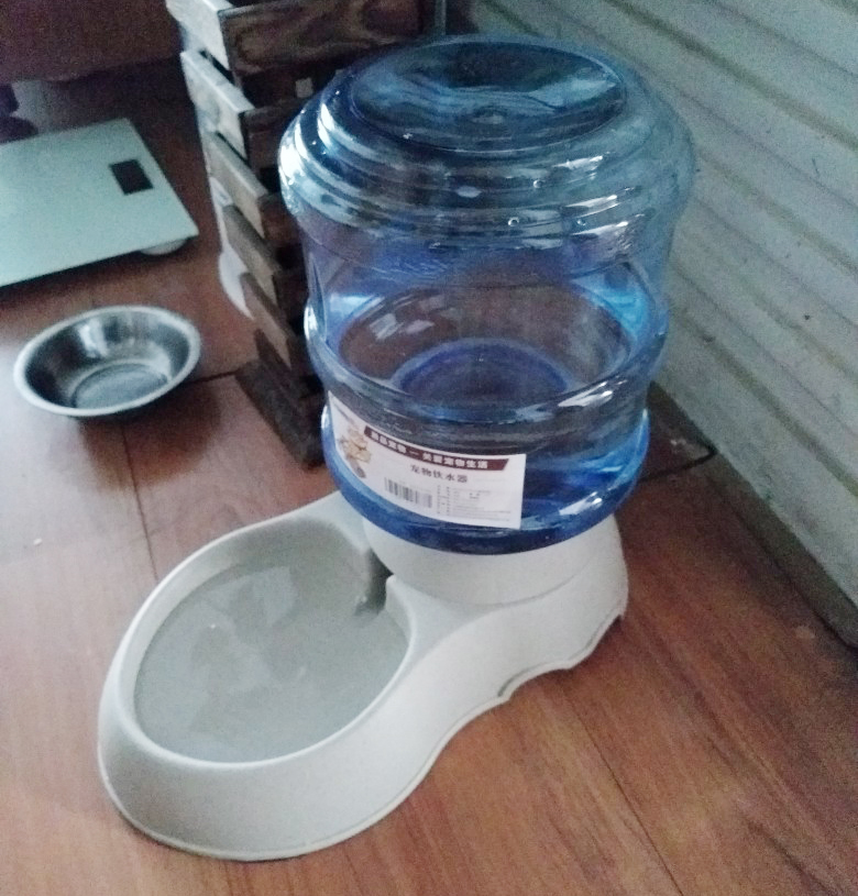 家里的宠物猫怎么处理,出远门家里猫多怎么办