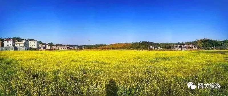 滚蛋吧，春困君！广东这些花花世界让你秒变龙马精神！