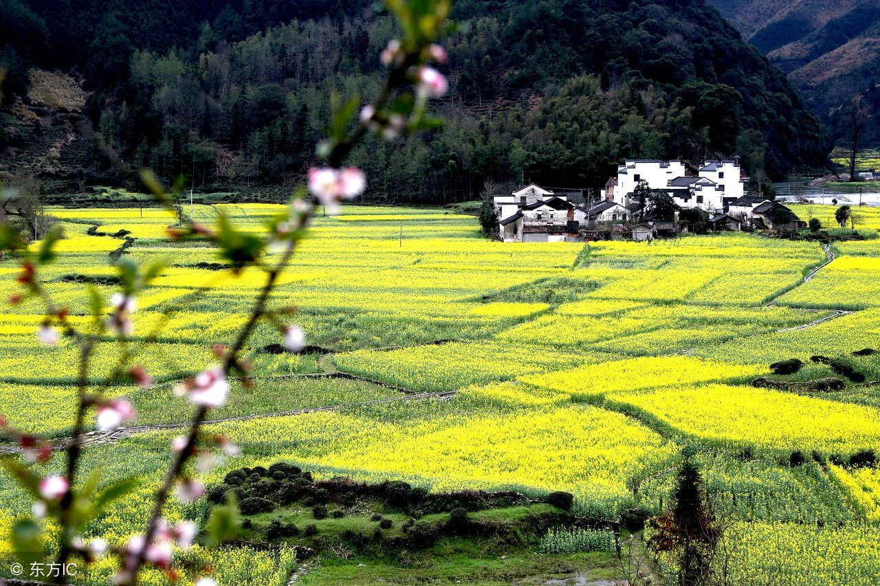 每天一句古诗词李白,每天一首古诗词李白带讲解