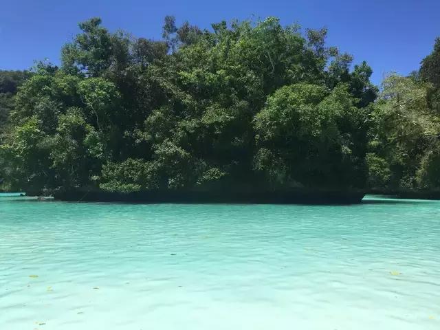 帕劳旅游攻略旅游视频,帕劳旅游攻略2018